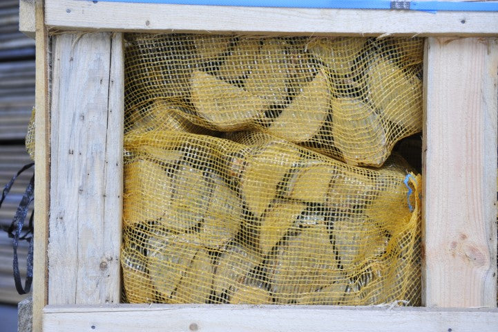 Netzakken berken op een pallet